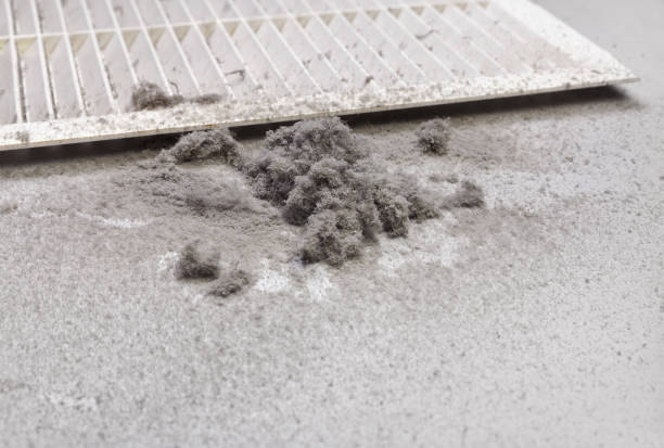 Best Air Duct Inspection  in Morgans Point Resort, TX